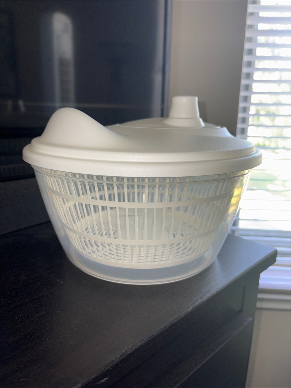 Plastic Salad Spinner with Lid - White